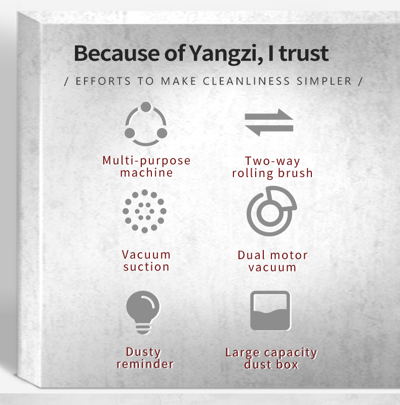 Yangzi DT2 Electric Carpet Cleaning Machine(6)